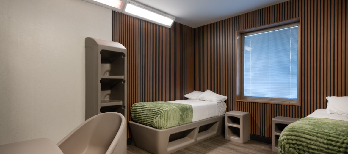 Inpatient or Outpatient Mental Health Treatment