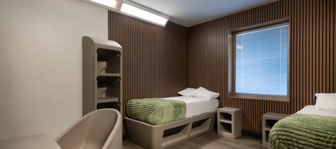 Inpatient or Outpatient Mental Health Treatment